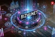 Bizhunet